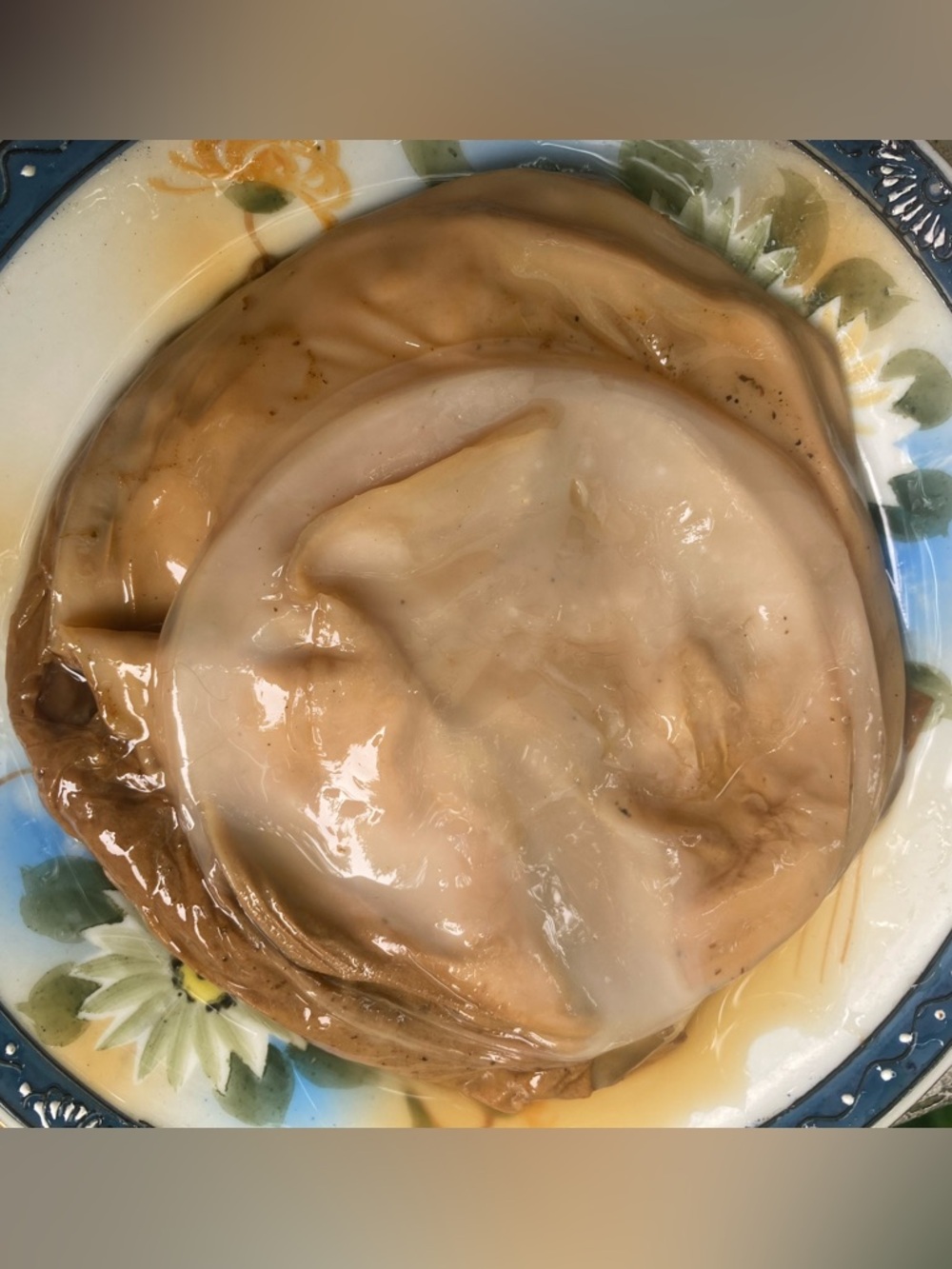 Kombucha SCOBY Live and Organic Starter Liquid For Homemade Probiotic Kombucha